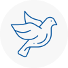 Bird Prevention Chertsey