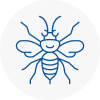 Chertsey Hornet Nest Removals