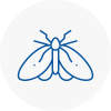 Moth Control Specialists In Chertsey