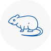 Rat Control Chertsey