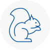 Chertsey Rodent Removals