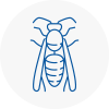 Chertsey Wasp Nest Removal